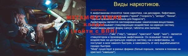 индика Ельня