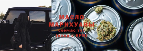 индика Ельня