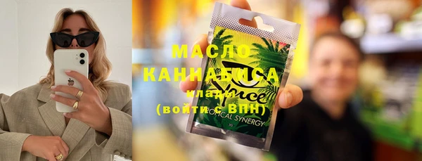 индика Ельня