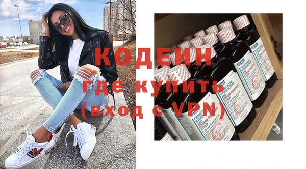 индика Ельня