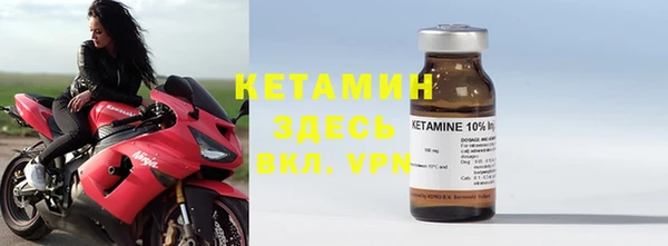 индика Ельня
