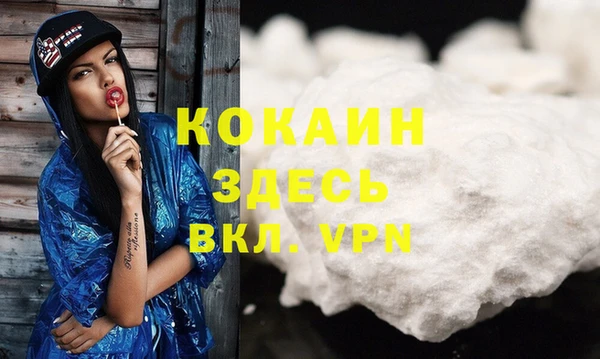индика Ельня