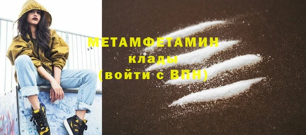 индика Ельня