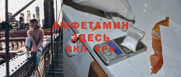 индика Ельня