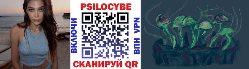 Галлюциногенные грибы Psilocybe  Купить  Кириши 